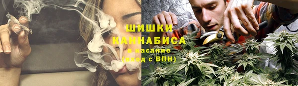 ПСИЛОЦИБИНОВЫЕ ГРИБЫ Зарайск